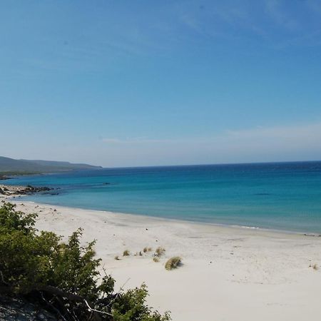 La Casa Di Stefania Διαμέρισμα Porto Pino Εξωτερικό φωτογραφία